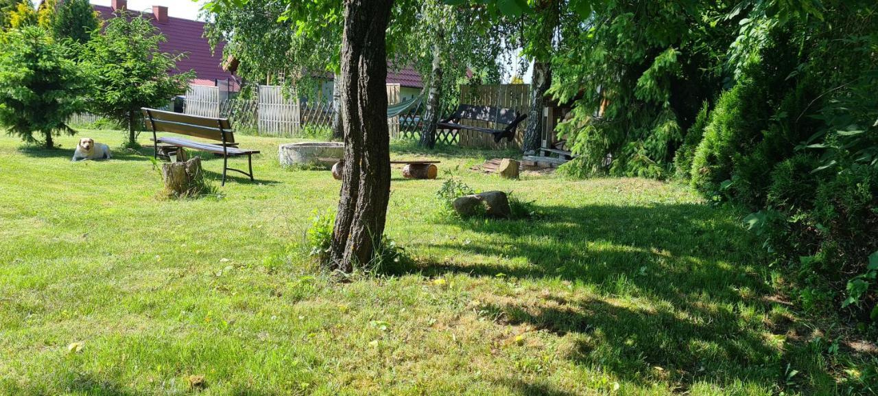 Oliwkowe Jerzykowo -Klimatyzacja Villa Radzieje Kültér fotó