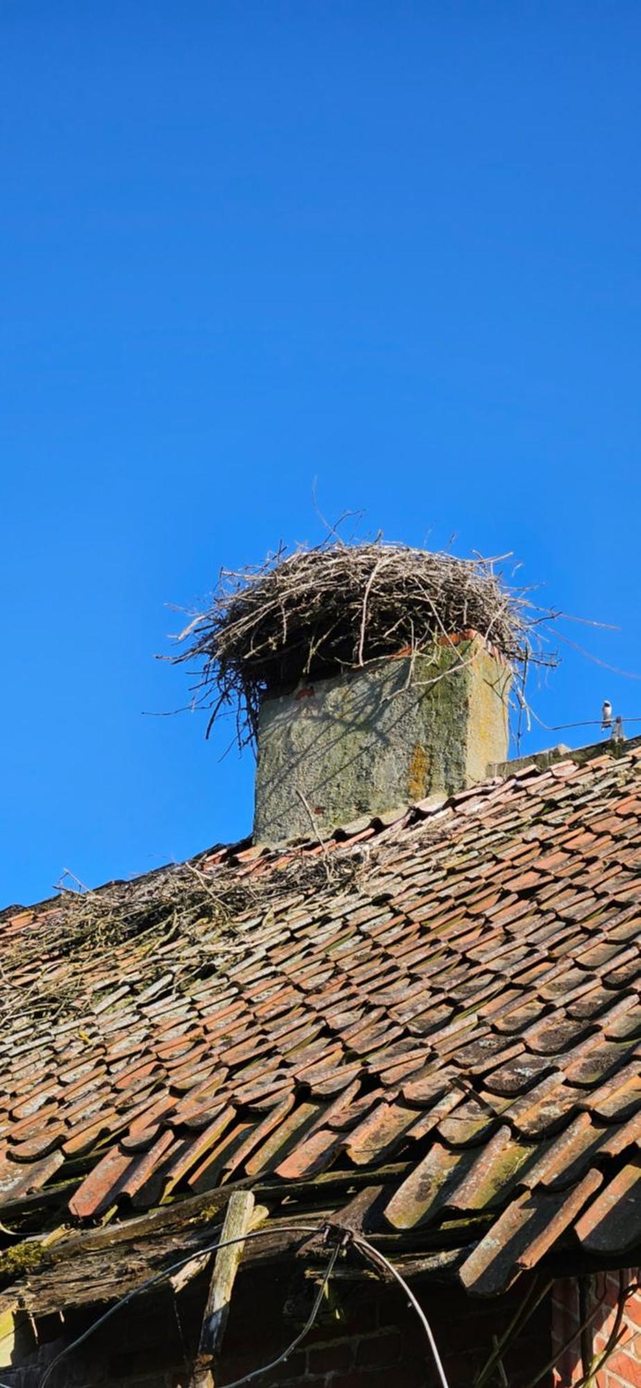 Oliwkowe Jerzykowo -Klimatyzacja Villa Radzieje Kültér fotó